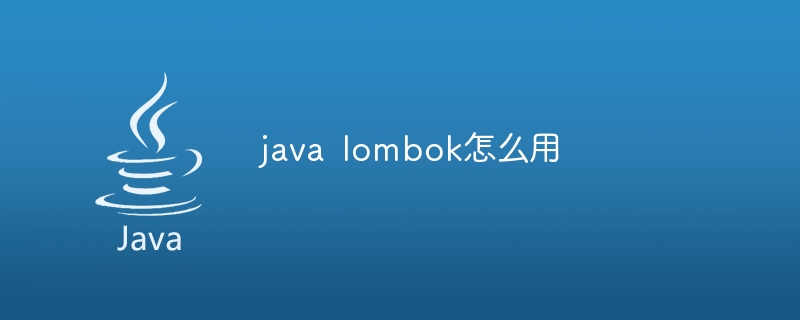 java?lombok怎么用
