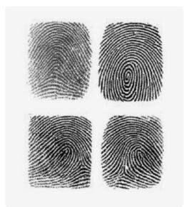 手指流纹涡纹算命(手指上的涡纹和流纹都有什么含义)