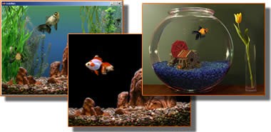 Goldfish Aquarium v1.4