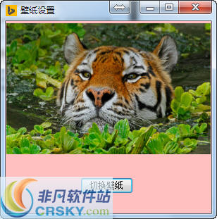 bing壁纸每日壁纸切换 v1.4