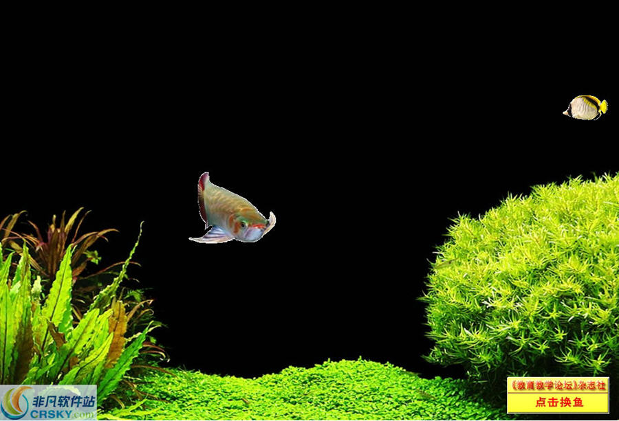 闪桌桌面换鱼程序 v1.3