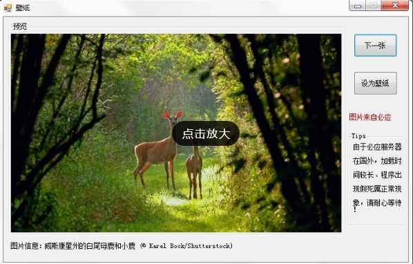 必应每日一图下载工具 v1.5