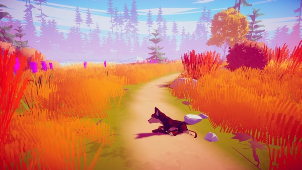 MY WOLF(我的狼野生宠物壁纸) v1.4