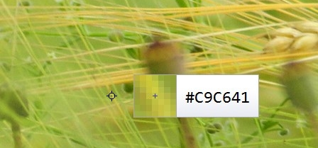 获取并复制屏幕颜色值Instant Eyedropper v2.0.5