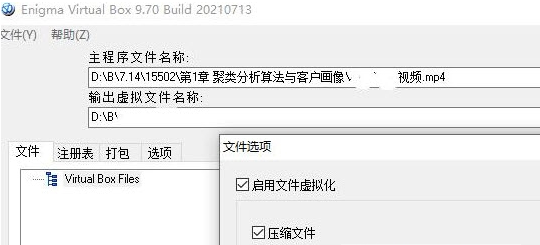 Enigma Virtual虚拟打包器 v9.73