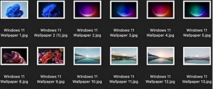 美图喵PC版 v1.51