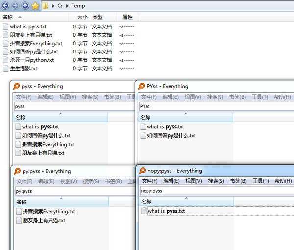 IbEverythingExt(Everything拼音搜索扩展) v0.6