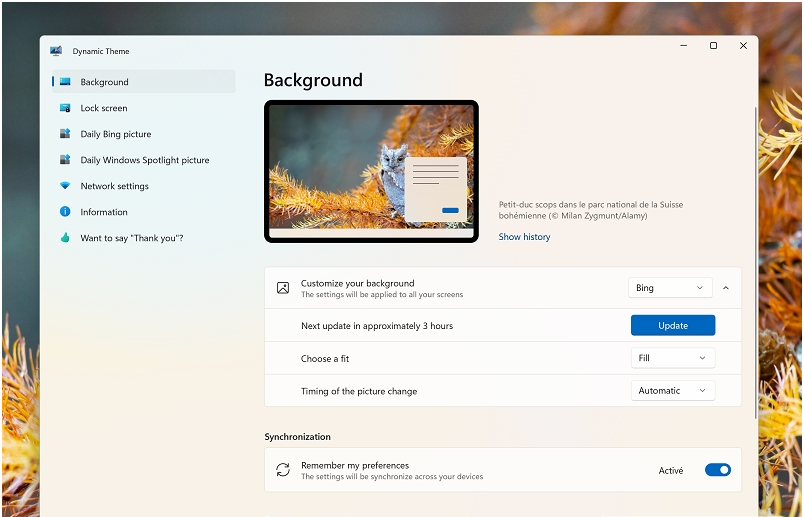 Dynamic Theme(Windows动态壁纸) v1.6.45.3