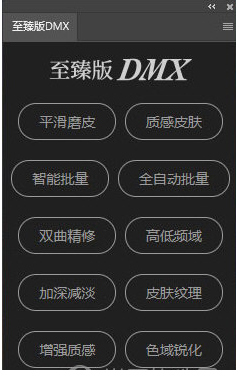 至臻版dmx插件(ps磨皮插件) v2025