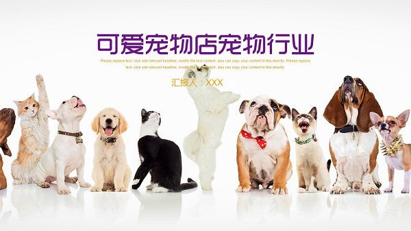 可爱宠物店宠物行业PPT模板 v3.14