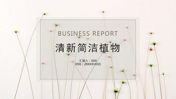 清新简洁小花植物背景PPT模板 v2.25