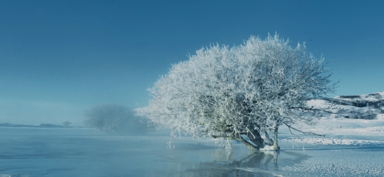 24节气壁纸全套高清 v1.80