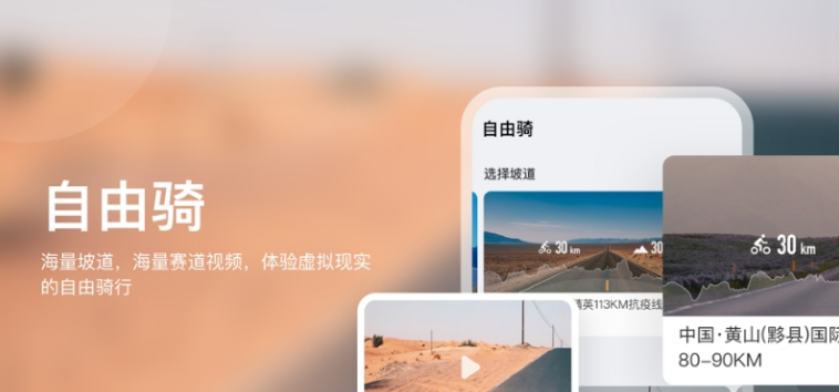 飞赛电脑版 v1.6