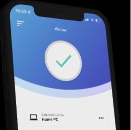 Wolow电脑伴侣 v16.0.31206.177