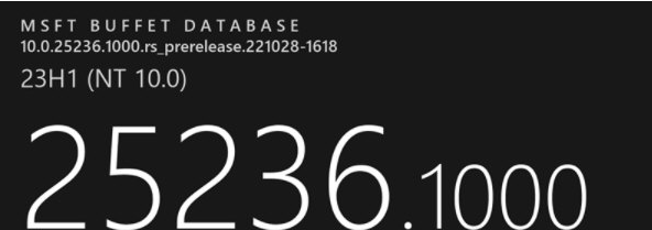 25236.1000补丁 v25236.1003