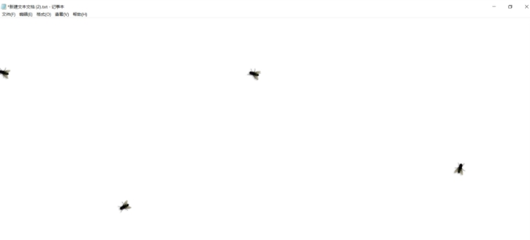 电脑桌面苍蝇软件 v1.5