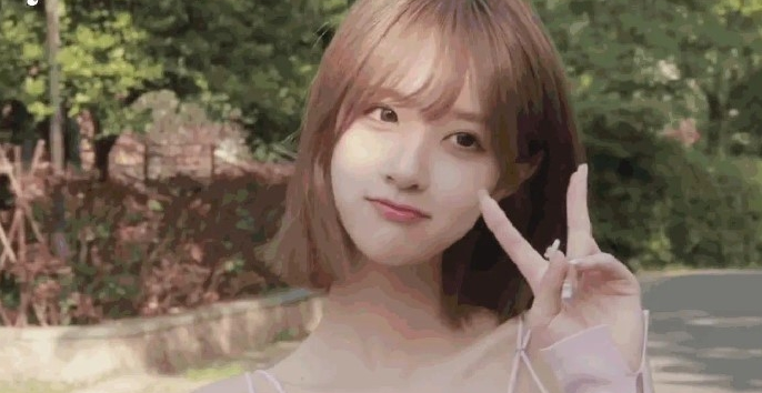 小风车动态壁纸软件 v2.81