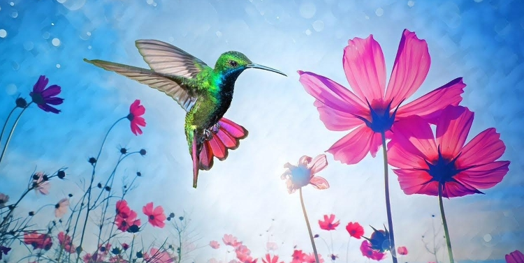 Adobe 2024 合集大师版 v1.1