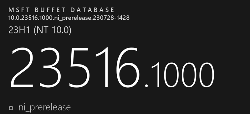 Win11Dev23516.1000补丁 v1.0