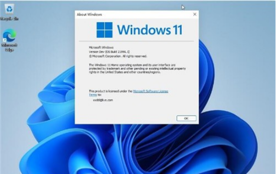 Windows11纯净版 v2024